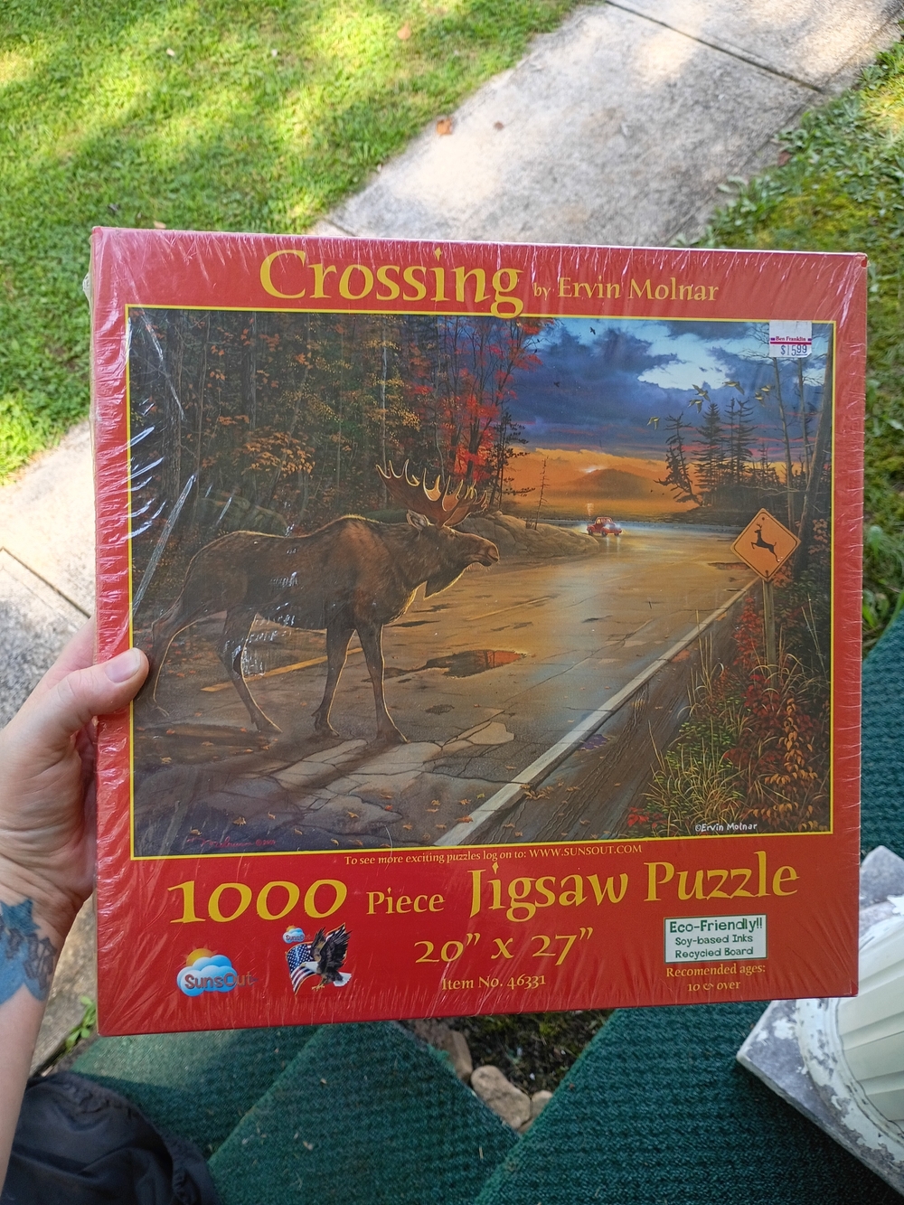 SunsOut 1000 Pc Jigsaw Puzzle Ervin Molnar Crossing Brand New Sealed